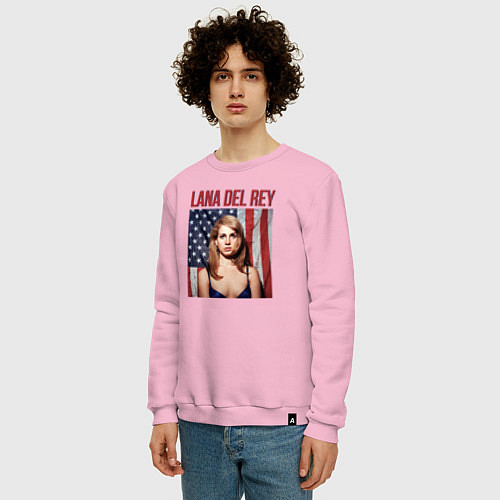 Мужской свитшот Lana Del Rey: USA / Светло-розовый – фото 3