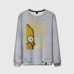 Свитшот хлопковый мужской Homer Doh!, цвет: меланж