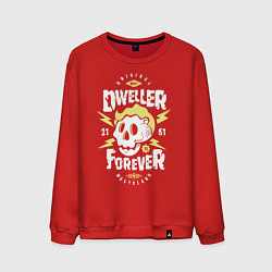 Свитшот хлопковый мужской Dweller Forever, цвет: красный