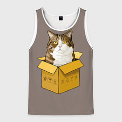 Майка-безрукавка мужская Котик в коробке, цвет: 3D-белый