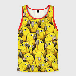 Мужская майка без рукавов Попугаи