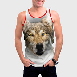 Майка-безрукавка мужская Волк: зима, цвет: 3D-красный — фото 2
