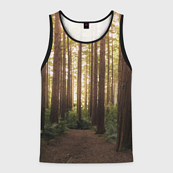 Майка-безрукавка мужская Дневной лес, деревья и свет, цвет: 3D-черный