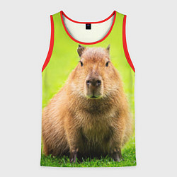 Майка-безрукавка мужская Capybara on green grass, цвет: 3D-красный