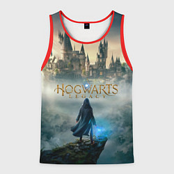 Майка-безрукавка мужская Герой Hogwarts legacy, цвет: 3D-красный