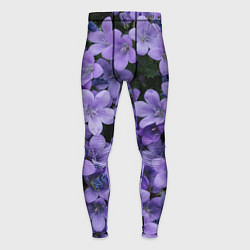 Тайтсы мужские Фиолетовый цвет весны, цвет: 3D-принт