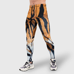 Тайтсы мужские Шкура тигра Новый год 2022, цвет: 3D-принт — фото 2