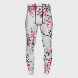 Мужские тайтсы Цветущие ветви