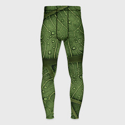 Тайтсы мужские Текстура зелёной листы, цвет: 3D-принт