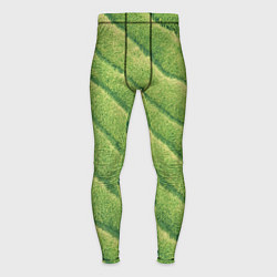 Тайтсы мужские Травяной паттерн, цвет: 3D-принт