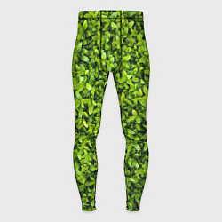 Тайтсы мужские Зелёная трава листья, цвет: 3D-принт