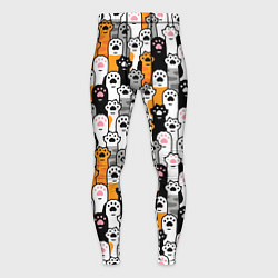 Мужские тайтсы Кошачьи лапы