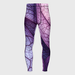 Мужские тайтсы Прожилки экзотического растения