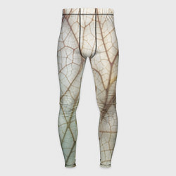 Мужские тайтсы Прожилки листика