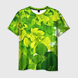 Футболка мужская Зелёные листья, цвет: 3D-принт