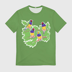 Футболка мужская Яркие Амадины, цвет: 3D-принт