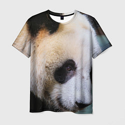 Футболка мужская Загадочная панда, цвет: 3D-принт