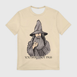 Футболка мужская Ты не пройдешь Властелин колец, цвет: 3D-принт