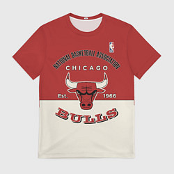 Футболка мужская NBA Bulls Vintage, цвет: 3D-принт