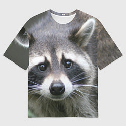 Футболка оверсайз мужская Озадаченный енот, цвет: 3D-принт
