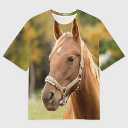 Футболка оверсайз мужская Взгляд лошади, цвет: 3D-принт