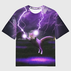 Мужская футболка оверсайз Кот и Молнии