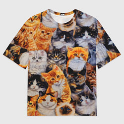 Мужская футболка оверсайз КОТЯТКИ