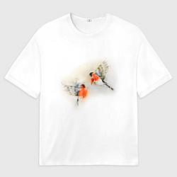 Футболка оверсайз мужская Снегири, цвет: 3D-принт