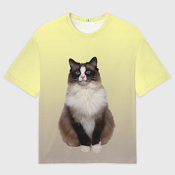 Футболка оверсайз мужская Персидская пушистая кошка, цвет: 3D-принт
