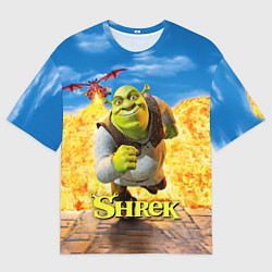 Футболка оверсайз мужская Шрек и дракон, цвет: 3D-принт