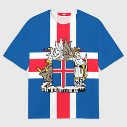 Футболка оверсайз мужская Флаг и Герб Исландии, цвет: 3D-принт