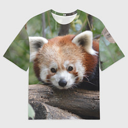 Футболка оверсайз мужская Красная панда, цвет: 3D-принт