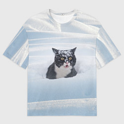Футболка оверсайз мужская Кот встречает свой Новый Год, цвет: 3D-принт