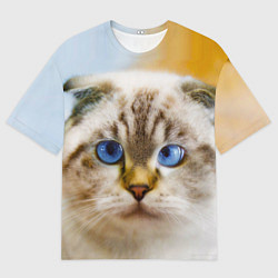 Футболка оверсайз мужская Кошка породы шотландская вислоухая косоглазая, цвет: 3D-принт