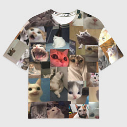 Футболка оверсайз мужская Мемные котики, цвет: 3D-принт