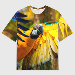 Футболка оверсайз мужская Взлёт попугая, цвет: 3D-принт