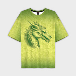 Футболка оверсайз мужская Зеленый нарисованный дракон с открытой пастью, цвет: 3D-принт