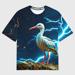 Футболка оверсайз мужская Аист и гроза, цвет: 3D-принт