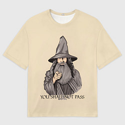 Футболка оверсайз мужская Ты не пройдешь Властелин колец, цвет: 3D-принт