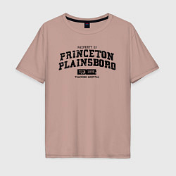 Футболка оверсайз мужская Princeton Plainsboro, цвет: пыльно-розовый