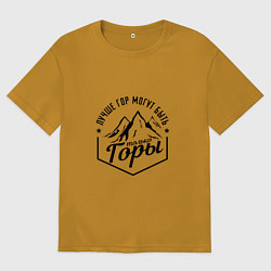 Мужская футболка оверсайз Лучше гор могут быть только горы