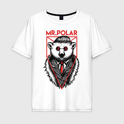 Мужская футболка оверсайз Mr Polar