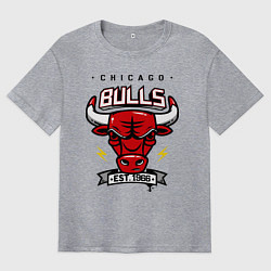Мужская футболка оверсайз Chicago Bulls est. 1966