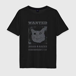Мужская футболка оверсайз Schrodinger's cat