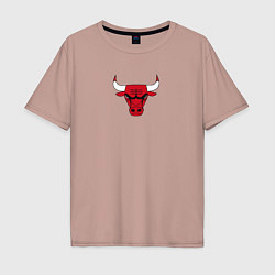 Футболка оверсайз мужская CHICAGO BULLS, цвет: пыльно-розовый