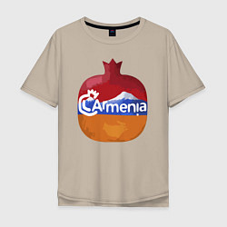 Футболка оверсайз мужская Армения, цвет: миндальный