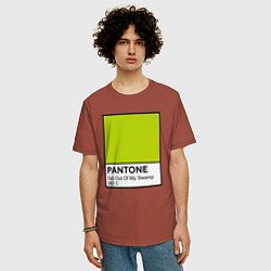 Футболка оверсайз мужская Shrek: Pantone Color, цвет: кирпичный — фото 2