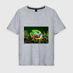 Мужская футболка оверсайз Тропическая лягушка