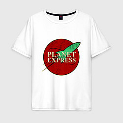 Мужская футболка оверсайз Planet Express