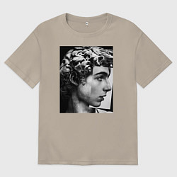 Мужская футболка оверсайз Давид Скульптура Тимоти Шаламе